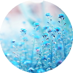 5 (150x150, 46Kb)