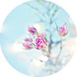 17 (150x150, 38Kb)