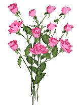 3234986_Bouque_of_pink_rosses (156x210, 9Kb)
