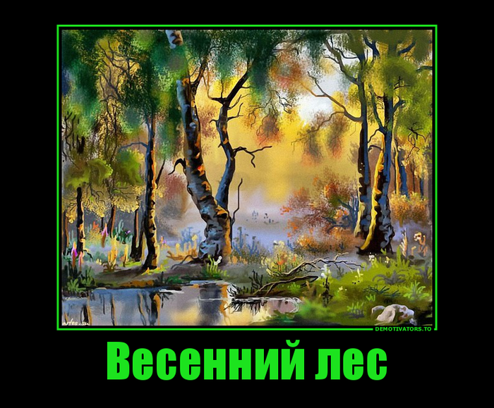 206966_vesennij-les_demotivators_ru (700x579, 493Kb)