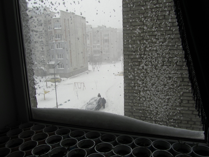 Квартиры в пурге. Снег за окном. Пурга из окна. Вьюга из окна. Пурга в окне.