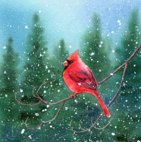 cardinal_3_watercolor_bird_painting_a5495f21175c9745e0d2f7821458af50 (475x480, 199Kb)