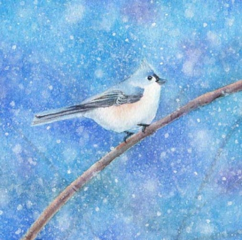 snowbird_watercolor_painting_1_a91fc737552e21b61f804fd53859c27d (475x470, 167Kb)