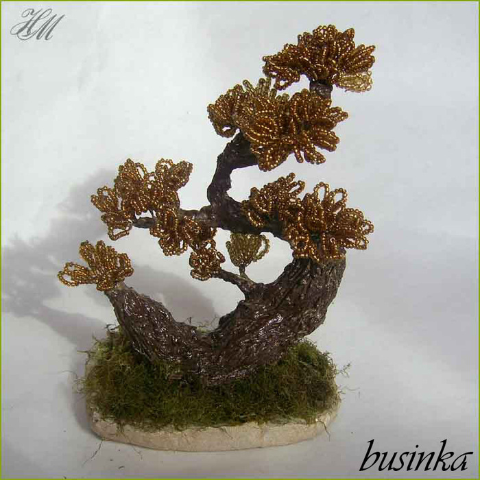 derieviya_iz_bicera_bonsai_businka_800 (700x700, 149Kb)