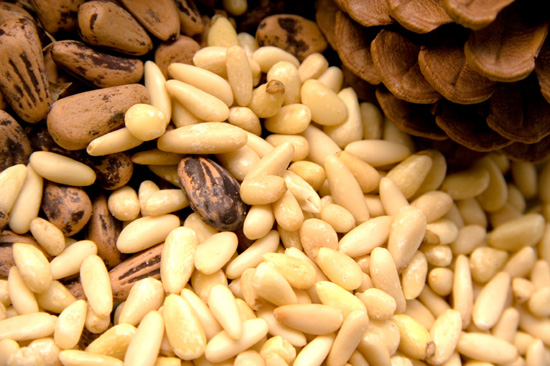 pine_nuts_main (550x366, 101Kb)