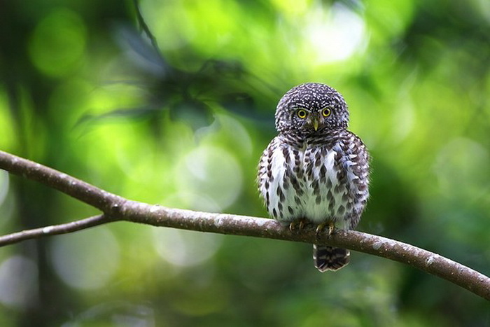 960a3ff1 (700x467, 85Kb)