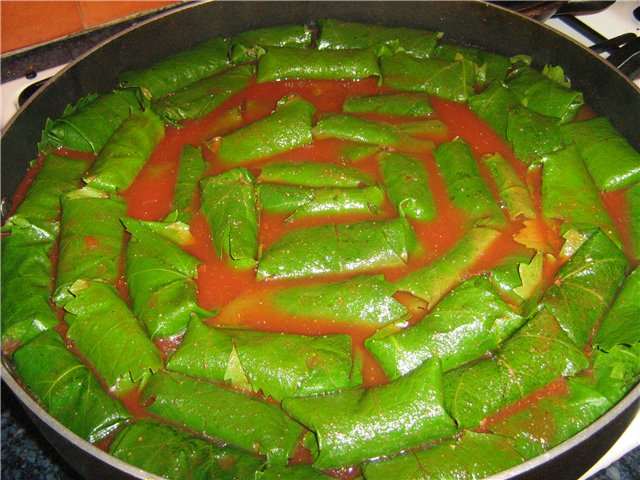 1363849633_Dolma_ot_Ksaruy (640x480, 86Kb)