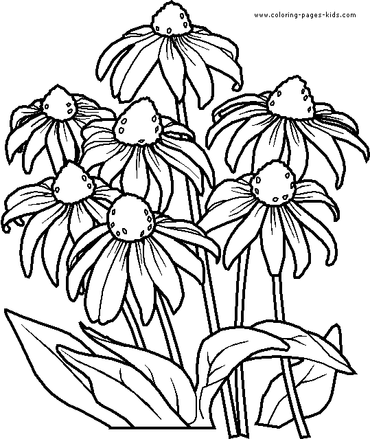 flower-coloring-page-19 (539x639, 17Kb)