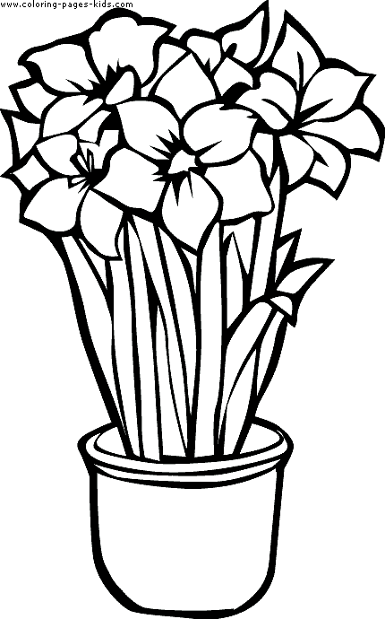 flower-coloring-page-34 (430x690, 14Kb)