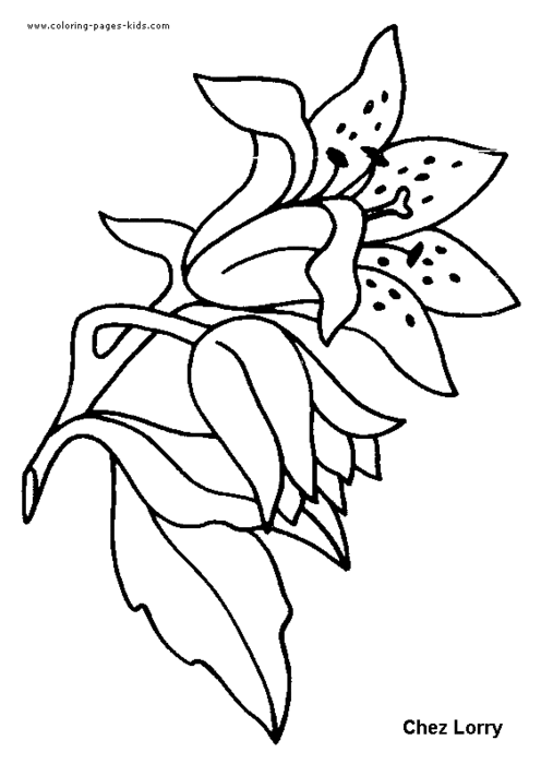 flower-coloring-page-40 (496x700, 31Kb)