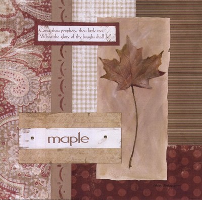 scrapbook-maple-leaf-by-carol-robinson-253963 (400x396, 47Kb)