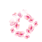  KD_T_flowerscircle (700x700, 270Kb)