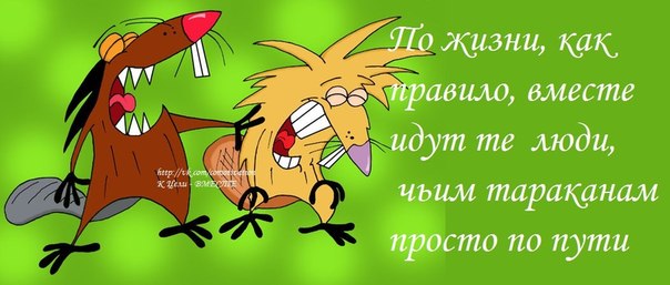 Пойдем вместе. По жизни как правило идут вместе те люди чьим тараканам просто по пути. Вместе идут те люди - чьим тараканам по пути. Тараканам по пути картинки.