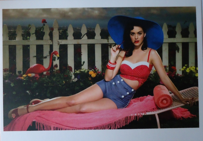 3272204_98779326_large_3272204_DSC02886 (700x485, 245Kb)