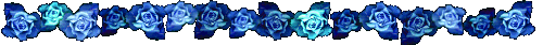 674320378b84 (500x42, 14Kb)