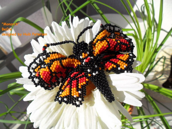 Monarch (563x422, 143Kb)