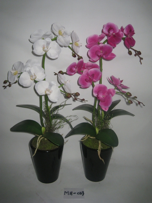 2012-New-Style-Three-Stems-Orchid-Artificial-with-Black-Ceramics-Pot-MH-023- (525x700, 220Kb)