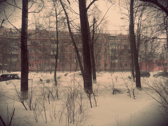 SAM_4606 (700x525, 133Kb)