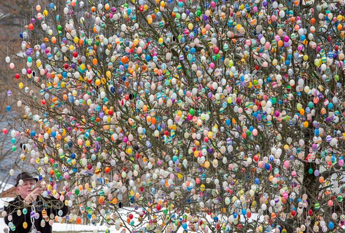 5242095_eggs (700x473, 137Kb)