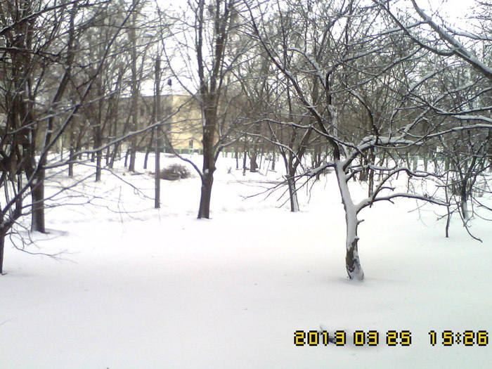 IMG00027 (700x525, 113Kb)