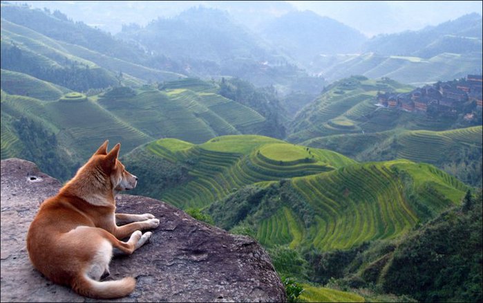 1324307180_1324234181_beauty-world-01 (700x438, 67Kb)