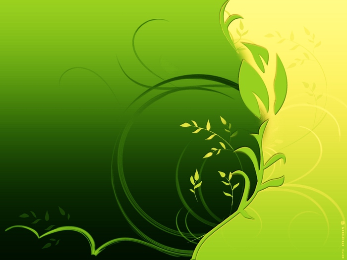 13 (700x525, 91Kb)