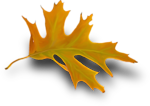 0_de36a_7282cdb1_S.jpg (150x106, 16Kb)