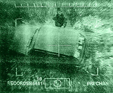 gibel-5 (375x308, 42Kb)