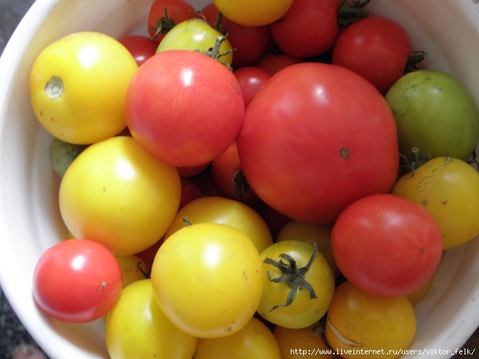 4737833_2011_08_14_105 (700x525, 248Kb)