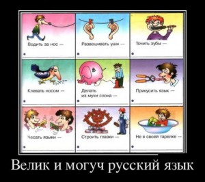 -300x266 (300x266, 26Kb)