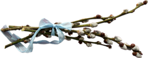 1367147665_rew (300x118, 37Kb)