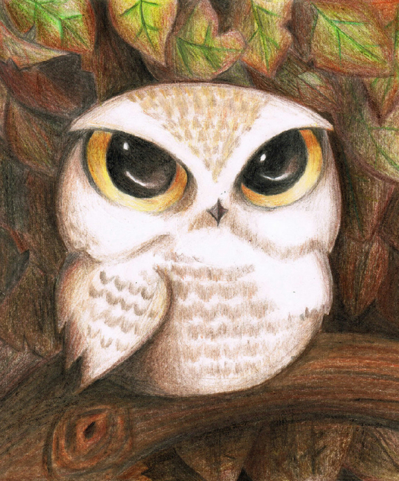 cute_owl_by_lovelylittlesunshine-d3dqitw (580x700, 557Kb)