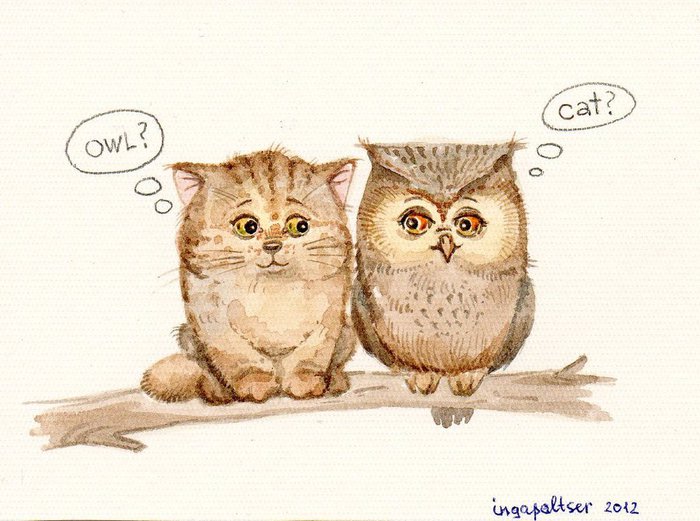 owls_by_ingapaltser-d520x2b (700x521, 74Kb)