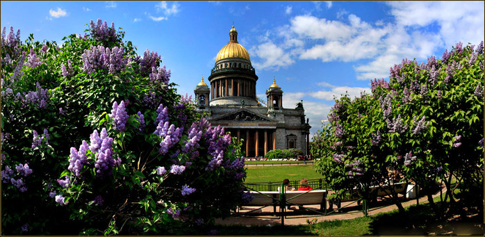 Исаакиевский собор в сирени фото