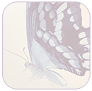 5236157_ava1 (130x129, 23Kb)