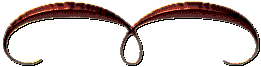 0_7af20_826e5cd6_M.jpg (261x67, 1Kb)