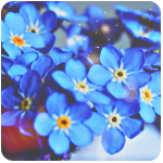 fmn1 (150x150, 58Kb)
