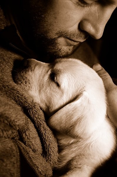 tumblr_m9ltckmG8p1rsjc8ao1_400 (398x600, 65Kb)