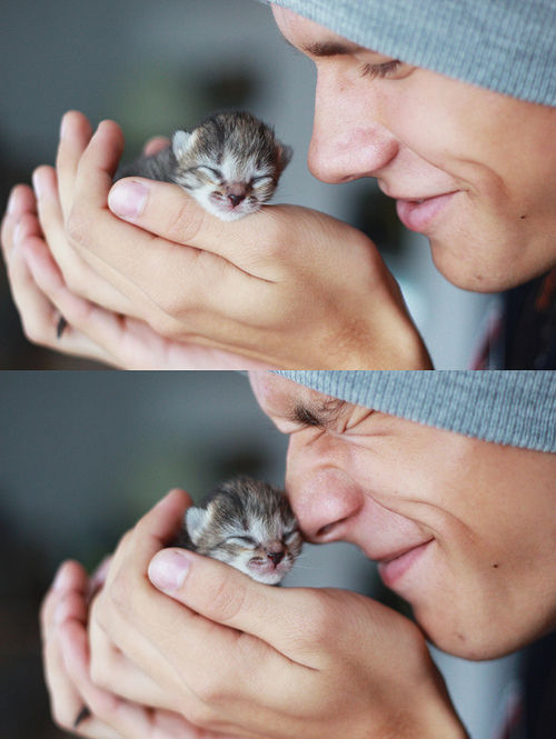 tumblr_mlm07ySPBt1qz4d4bo1_500 (500x665, 54Kb)