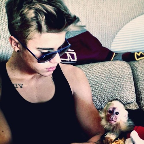 tumblr_mluj9jvETd1s4h7rso1_500 (500x500, 72Kb)