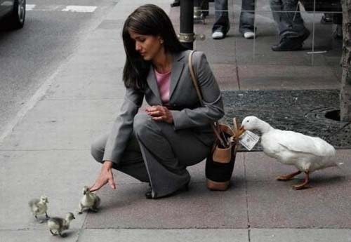tumblr_mm4hs5p6rt1rf9wh6o1_500 (500x345, 38Kb)