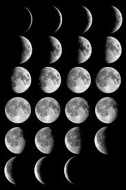 images (183x275, 7Kb)