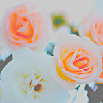 rr3 (150x150, 42Kb)