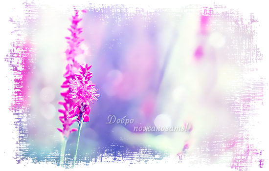  (550x350, 343Kb)