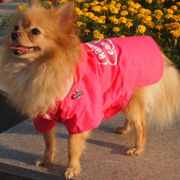 Freeshipping-Rain-Coat-Polyster-Waterproof-Non-leakage-Pet-Dog-Clothes-Dog-Clothing-Leisure-Soft-Pink-S (700x700, 109Kb)