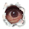  -  ! (100x100, 14Kb)