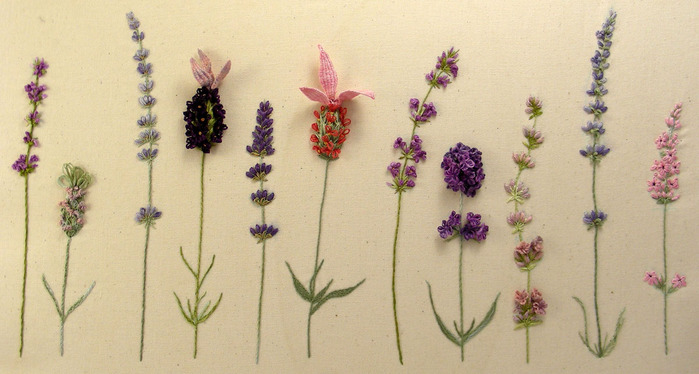 lavender-copy (700x374, 87Kb)