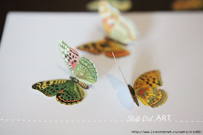 Vegan-butterfly-framed-art-paper-craft-6 (700x467, 131Kb)