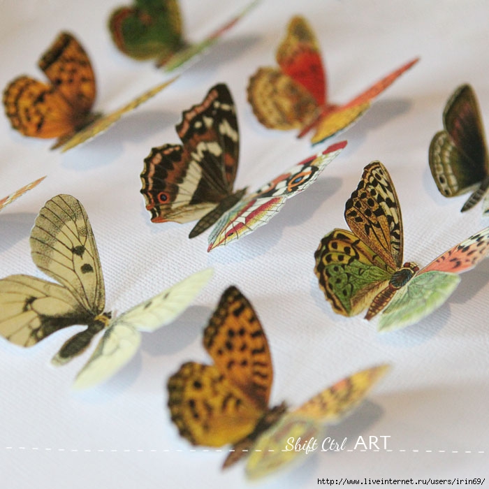 Vegan-butterfly-framed-art-paper-craft-8 (700x700, 242Kb)