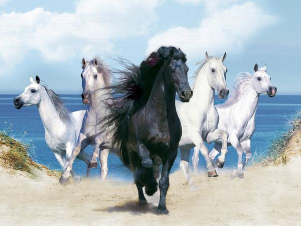 Animals-Wallpapers-Fantasy-Beautiful-Horses (600x450, 81Kb)